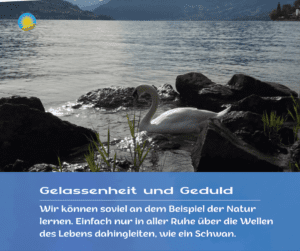 See mit Schwan